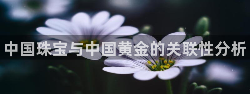 新航sq806娱乐系统