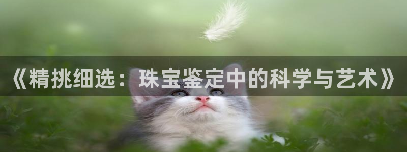 新航娱乐网址：《精挑细选：珠宝鉴定中的科学与艺术》