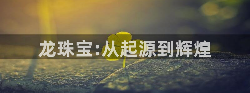 新航娱乐怎么样