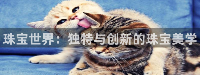 新航娱乐最新消息