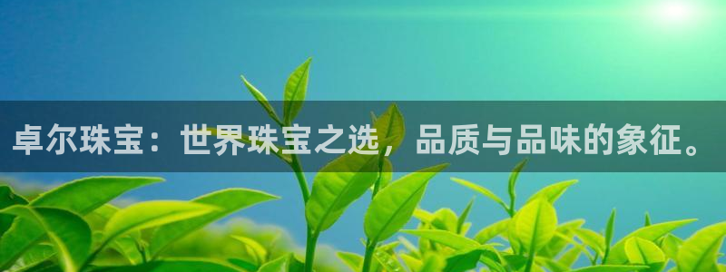 新航娱乐最新产品发布