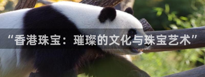 新航sq806娱乐系统：“香港珠宝：璀璨的文化与珠宝艺术”