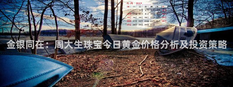 新航娱乐网址：金银同在：周大生珠宝今日黄金价格分析及投资策略