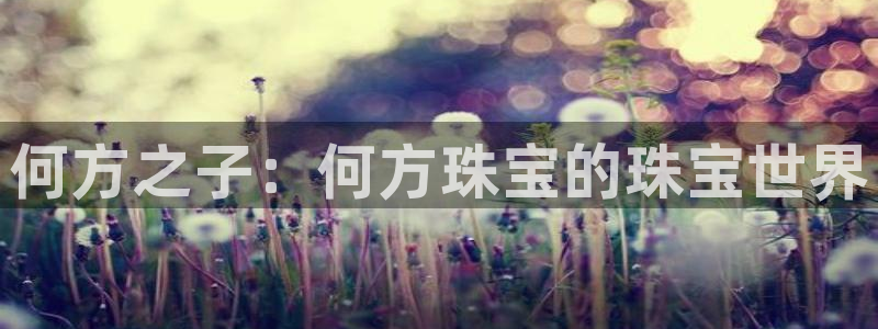 新航娱乐招商：何方之子：何方珠宝的珠宝世界