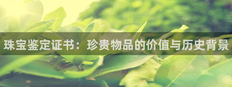 新航娱乐集团最新消息：珠宝鉴定证书：珍贵物品的价值与历史背景