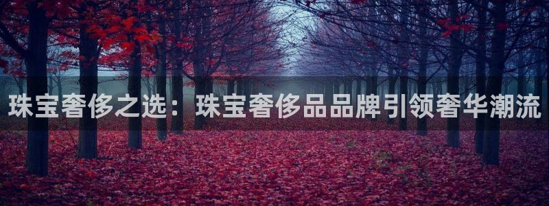 新航娱乐值得买吗