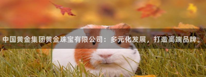 新航娱乐的创始人背景