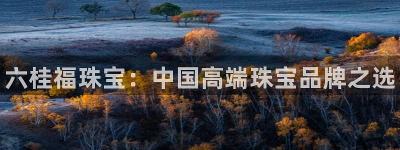 萧山娱乐新航母阿里巴巴