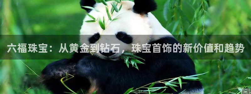 新航娱乐的创始人背景