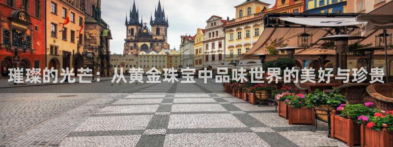 新航娱乐管理有限公司