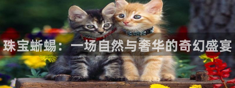 兰山新航线娱乐