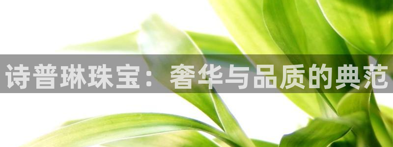 新航娱乐公司地址查询：诗普琳珠宝：奢华与品质的典范