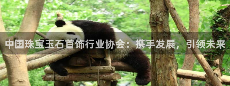 新航娱乐主管：中国珠宝玉石首饰行业协会：携手发展，引领未来