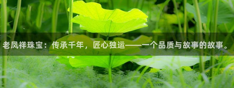 新航娱乐是干嘛的