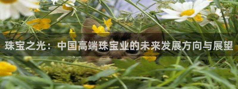 新航娱乐官方网站入口