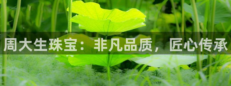 新航娱乐app下载