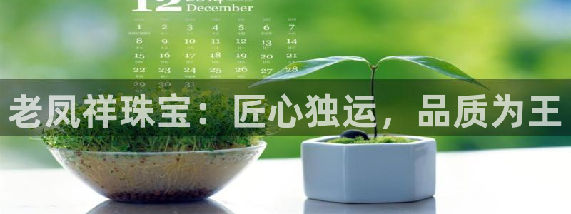 新航娱乐公司地址电话