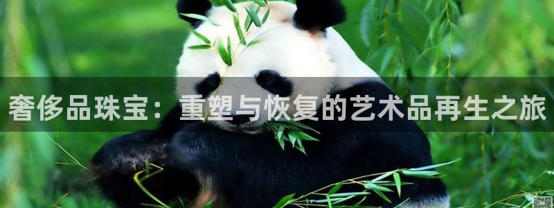 新航飞机椅背娱乐设备