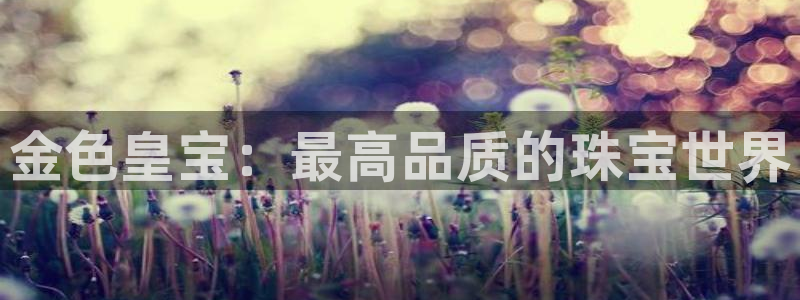 新航娱乐入新航娱乐怎么样