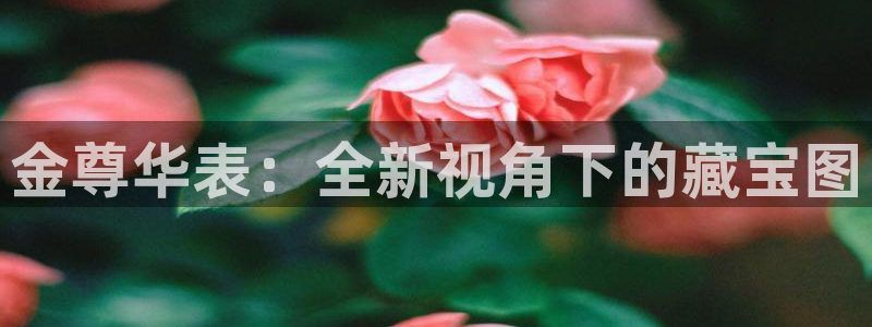 新航娱乐公司招聘信息网：金尊华表：全新视角下的藏宝图