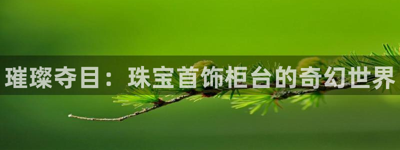 新航娱乐传媒怎么样