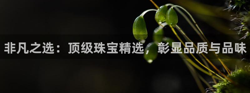 辽宁新航文化娱乐传媒：非凡之选：顶级珠宝精选，彰显品质与品味