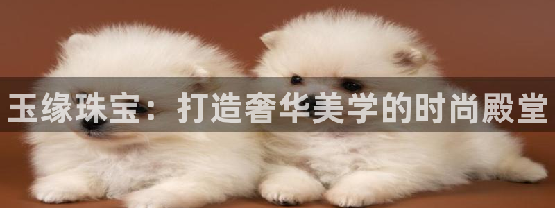新航面试娱乐：玉缘珠宝：打造奢华美学的时尚殿堂