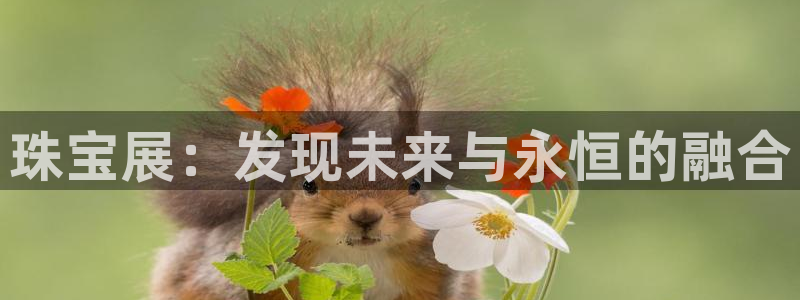 新航娱乐近期演出活动