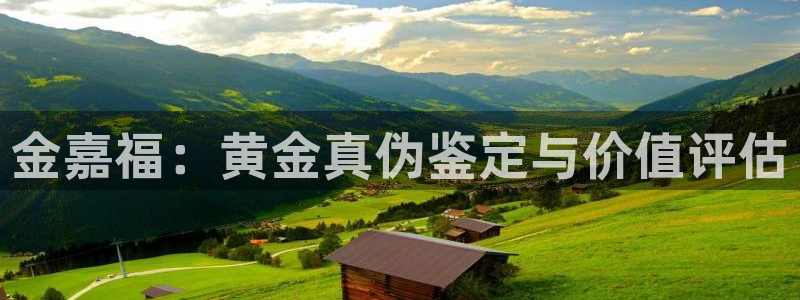 新航娱乐系统设置