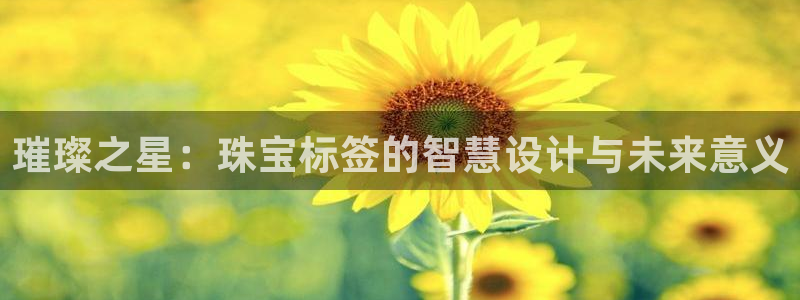 新航娱乐官网登录入口