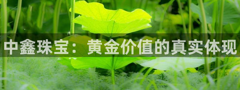 新航娱乐怎么样知乎