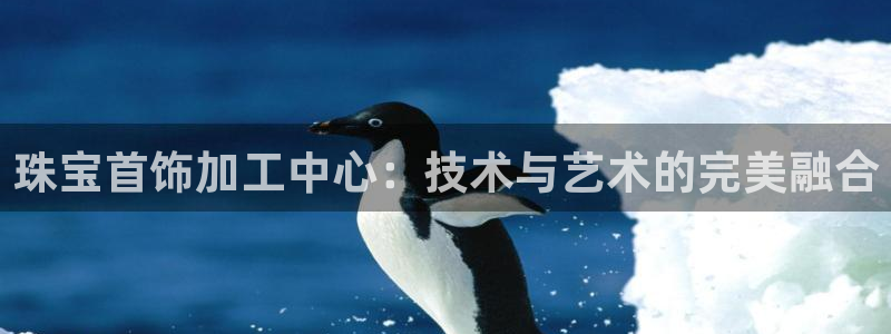 新航娱乐的创始人背景