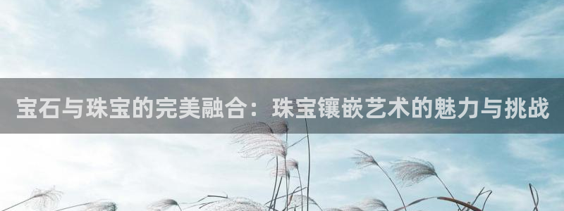 新航sq806娱乐系统