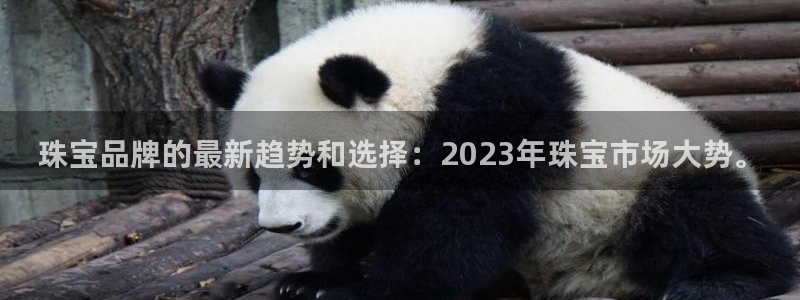 新航路开辟中的娱乐