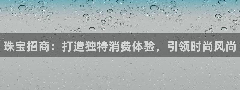 新航娱乐公司问题
