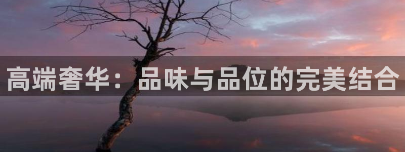 新航娱乐管理有限公司