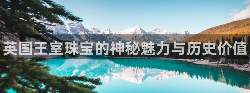 新航娱乐怎么注册账号