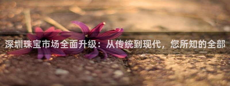 中国新航娱乐官网入口