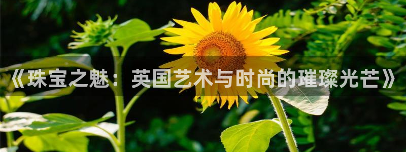 新航海娱乐会所电话是多少