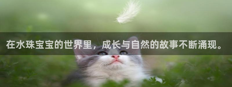 新航娱乐扣款详情