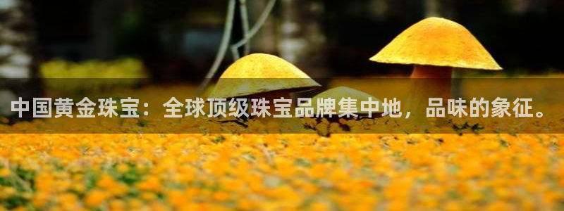 新航海娱乐会所：中国黄金珠宝：全球顶级珠宝品牌集中地，品味的