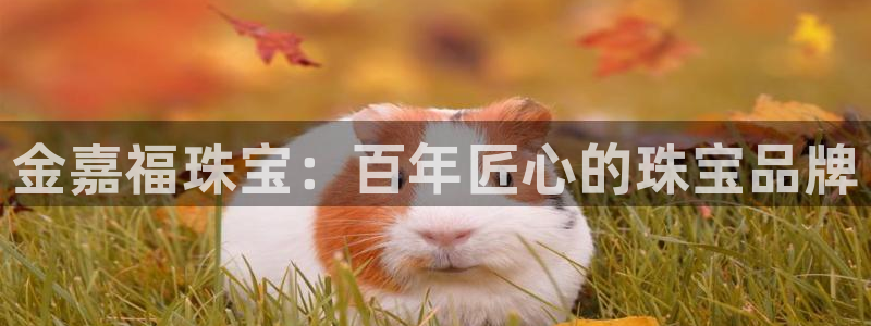 新航路开辟中的娱乐：金嘉福珠宝：百年匠心的珠宝品牌