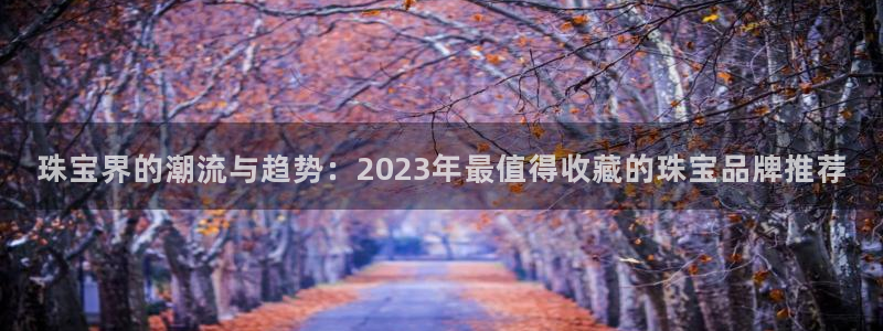 新航文化娱乐传媒