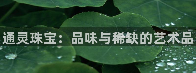 娱乐搞笑新航线：通灵珠宝：品味与稀缺的艺术品