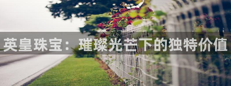 新航娱乐黑：英皇珠宝：璀璨光芒下的独特价值