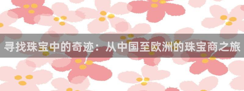 新航娱乐公司简介图片