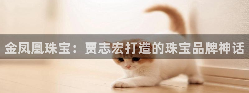 新航娱乐官网注册入口：金凤凰珠宝：贾志宏打造的珠宝品牌神话