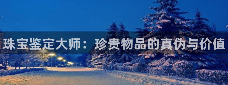 新航娱乐公司问题