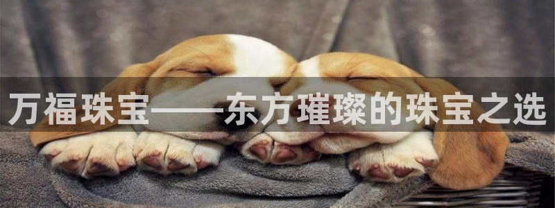 新航娱乐是干嘛的：万福珠宝——东方璀璨的珠宝之选