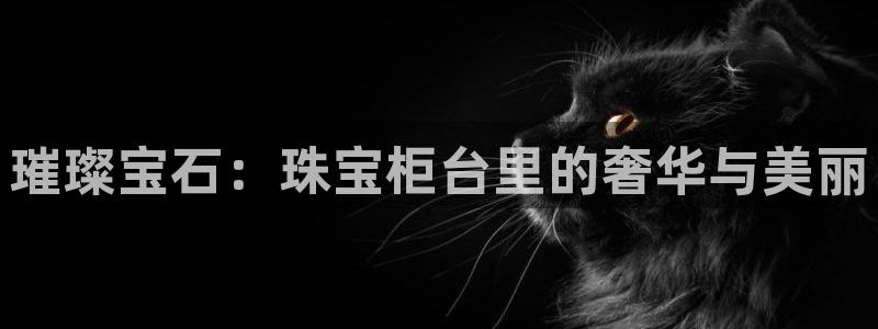 新航娱乐属于什么档次：璀璨宝石：珠宝柜台里的奢华与美丽